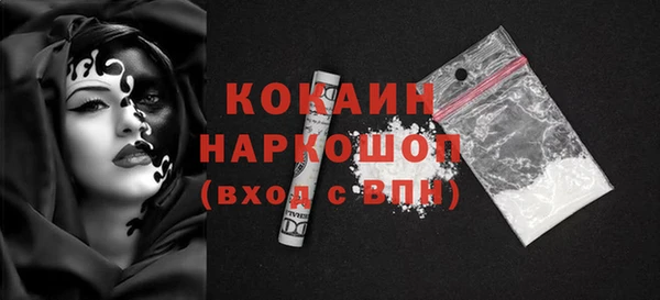 гашик Верея
