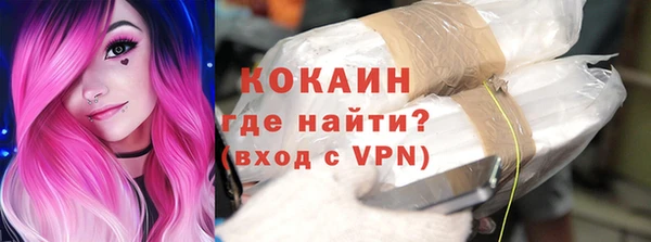 гашик Верея