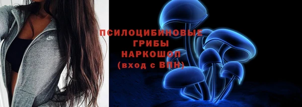 гашик Верея