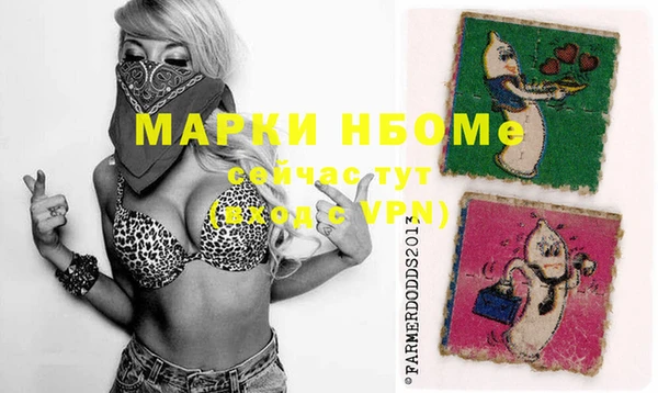 СК Верхний Тагил