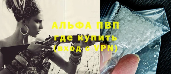 гашик Верея