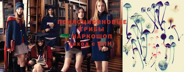 СК Верхний Тагил