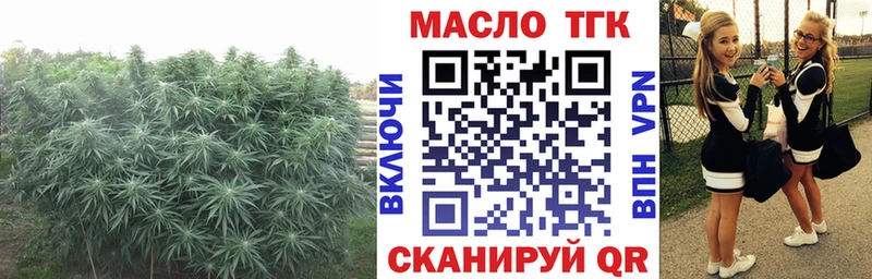 Дистиллят ТГК вейп с тгк  Купить где  Власиха 
