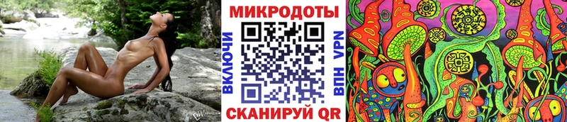 Купить  Власиха  Галлюциногенные грибы Cubensis 